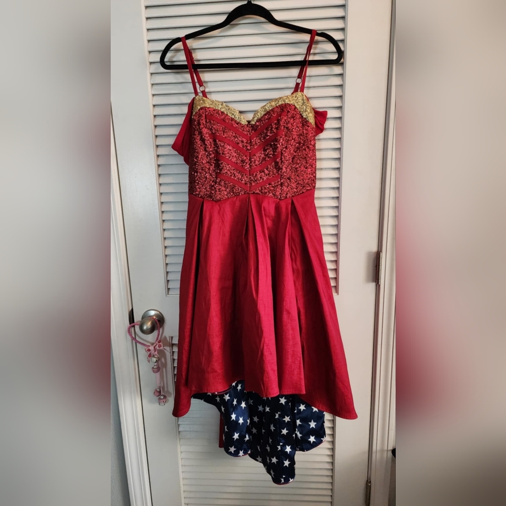 DC Comics Wonder Woman JUNIORS Medium Formal Dress